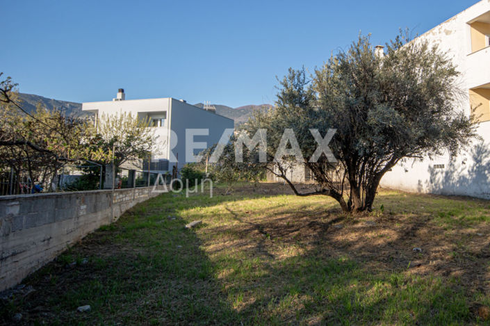 Image No.5-Land for sale