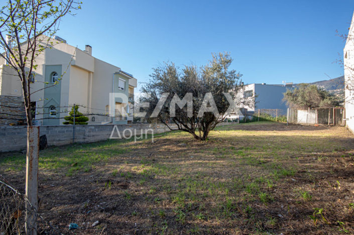 Image No.8-Land for sale