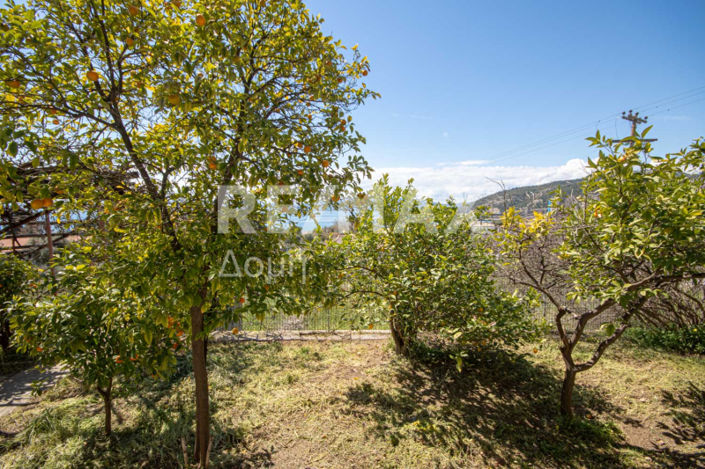 Image No.16-Property for sale