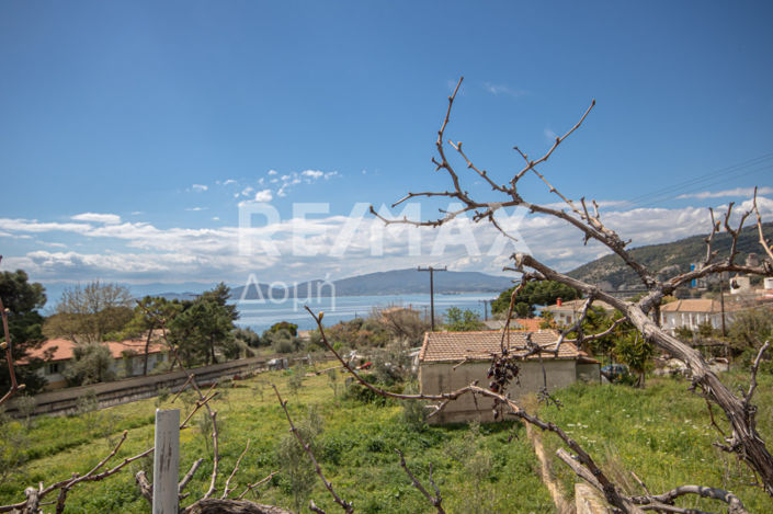 Image No.19-Property for sale