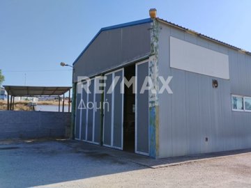 25319-109919458