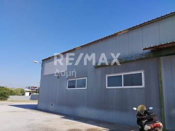 25319-109911771