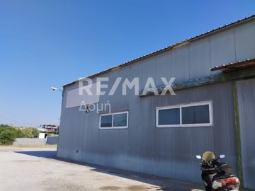 25319-109919554