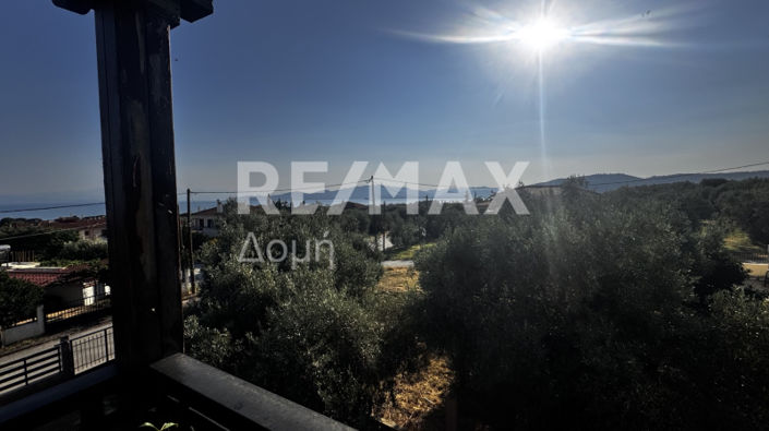 Image No.19-3 Bed House for sale