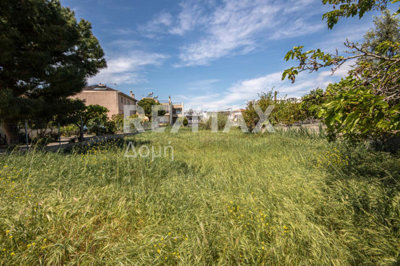 25300-129796734