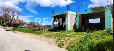 10781-130364861