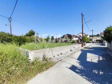25331-130393845