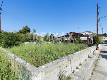 25331-130397660