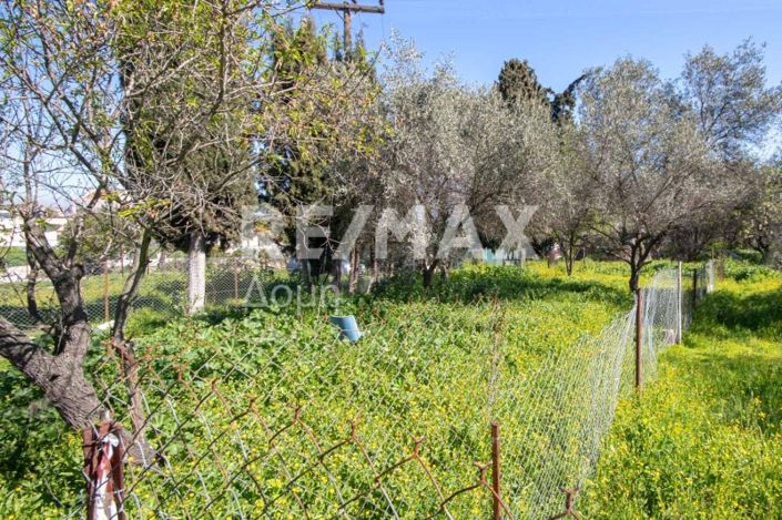 Image No.14-Land for sale