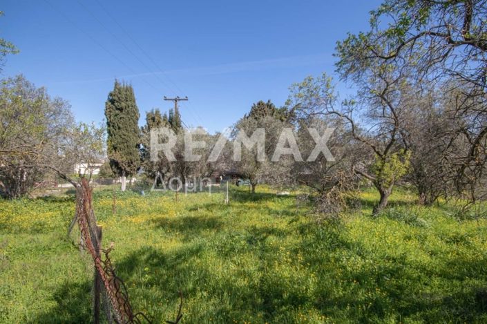 Image No.18-Land for sale