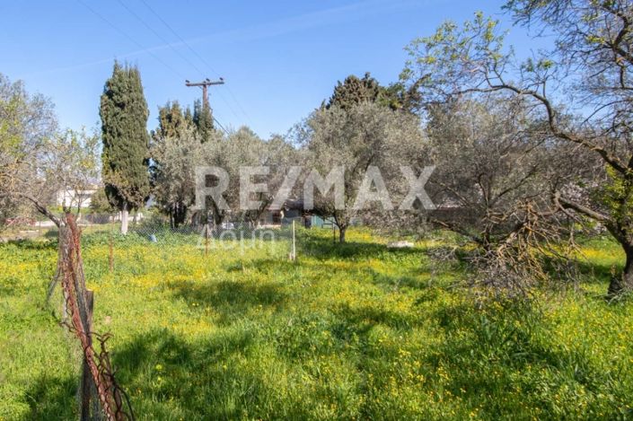 Image No.19-Land for sale