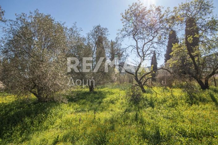 Image No.20-Land for sale