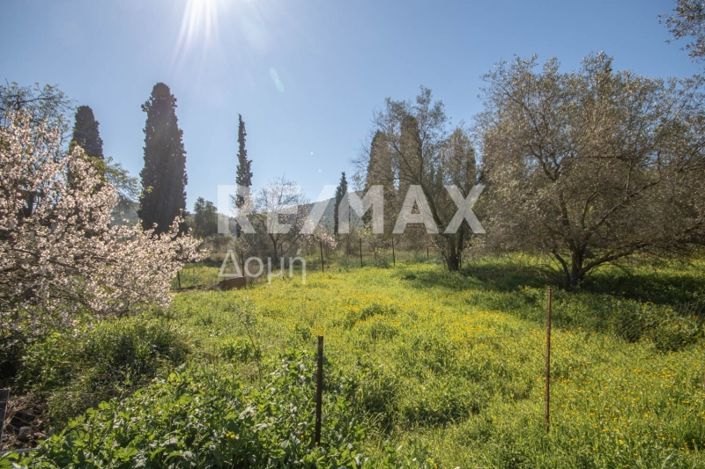 Image No.21-Land for sale