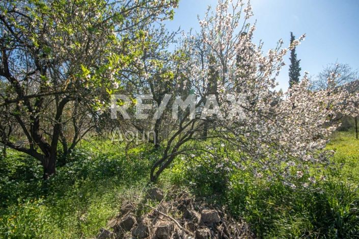 Image No.22-Land for sale