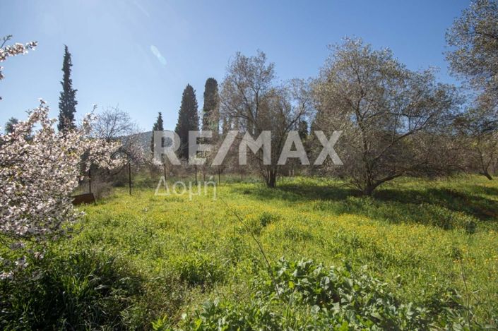 Image No.23-Land for sale