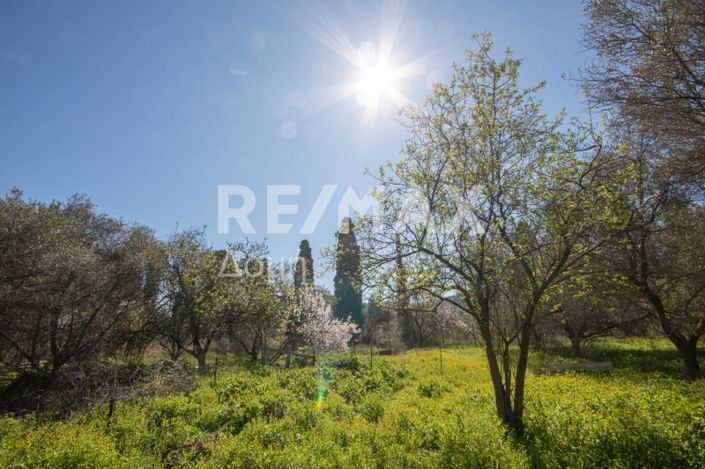 Image No.24-Land for sale