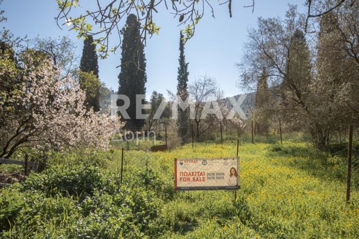Image No.25-Land for sale