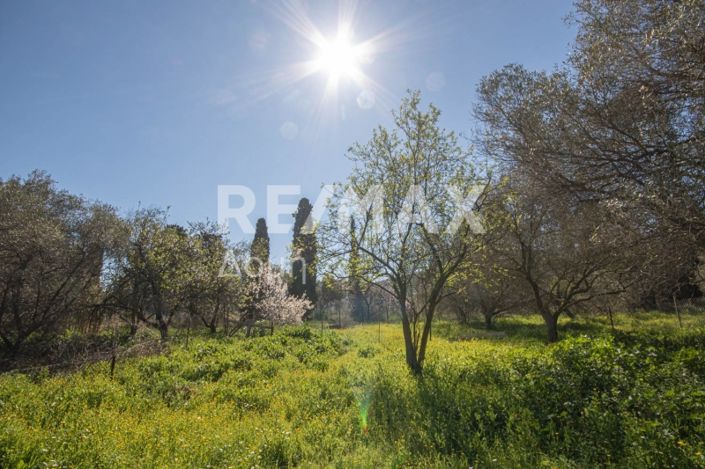 Image No.4-Land for sale