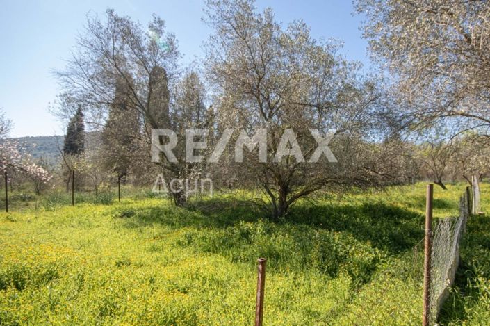 Image No.8-Land for sale