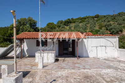 4-58925313