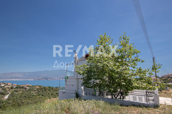 Image No.32-3 Bed Property for sale