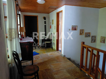 25316-131054301