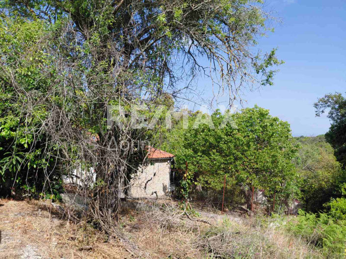 Image No.31-3 Bed Maisonette for sale