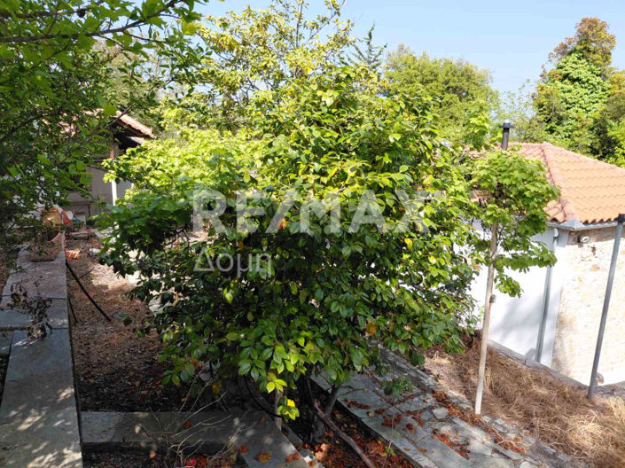 Image No.36-3 Bed Maisonette for sale