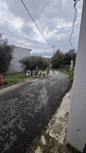 Image No.34-5 Bed House for sale