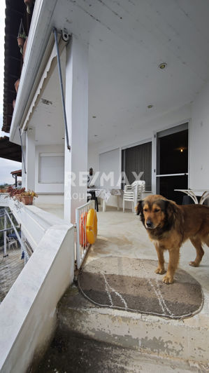 Image No.58-5 Bed House for sale