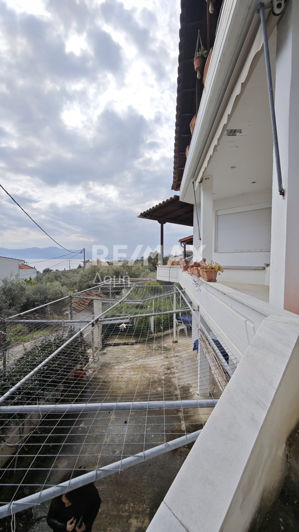 Image No.59-5 Bed House for sale