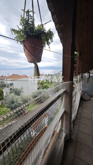 Image No.9-5 Bed House for sale