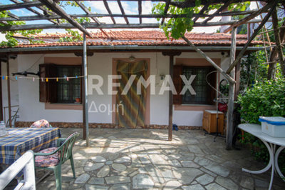 1 - Artemida, House