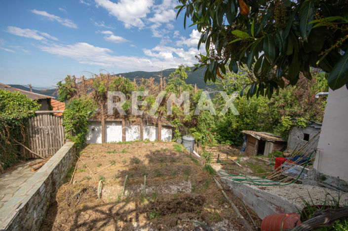 Image No.25-3 Bed House for sale