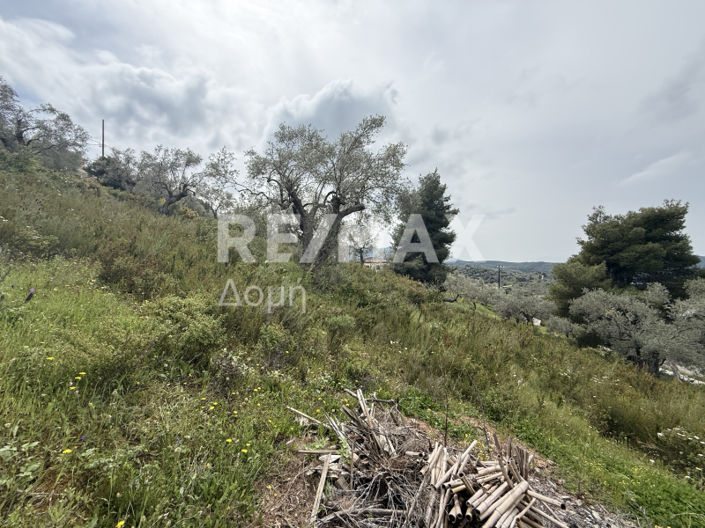 Image No.11-Property for sale