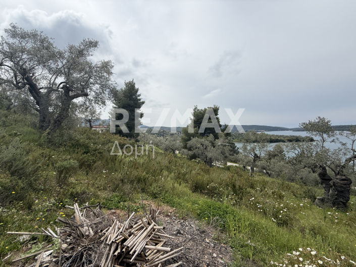 Image No.12-Property for sale