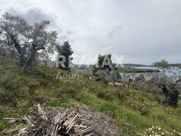 25326-129942831