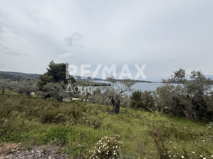 Image No.13-Property for sale
