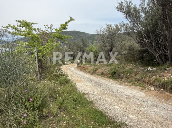 Image No.20-Property for sale