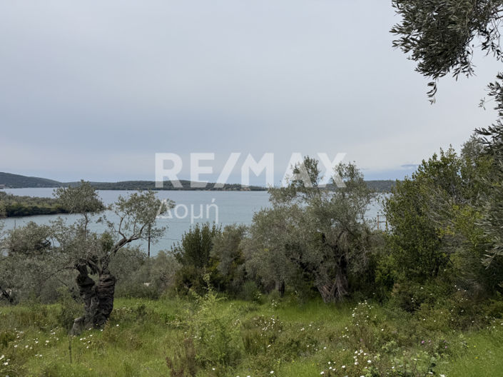 Image No.8-Property for sale