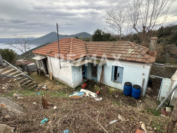 1 - Center, Maison