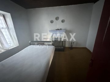 25306-108331381