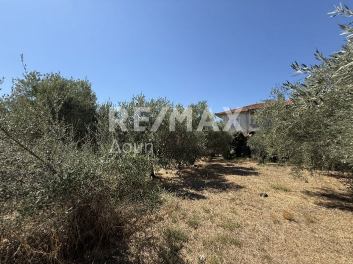 Image No.14-Land for sale