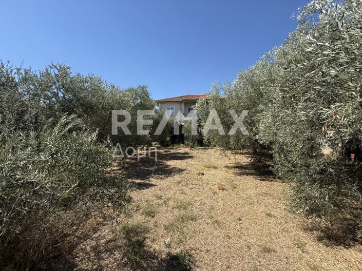 Image No.16-Land for sale