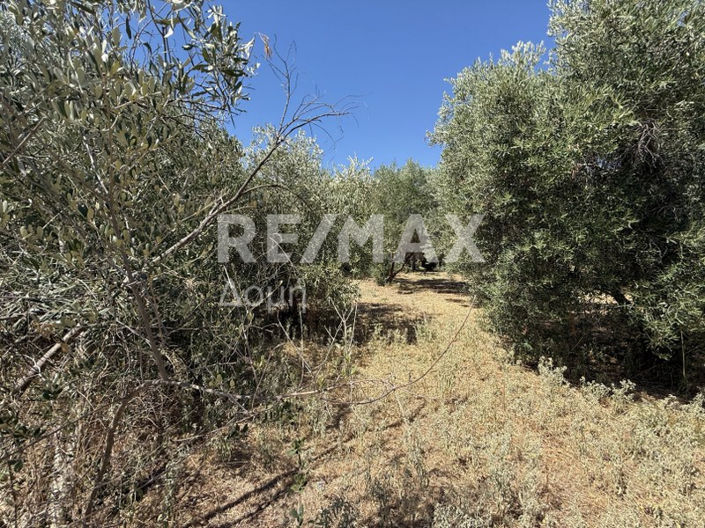 Image No.17-Land for sale