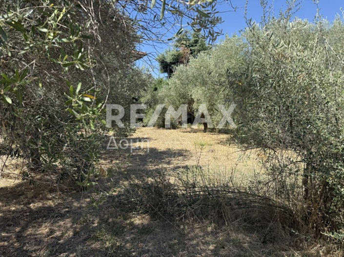 Image No.25-Land for sale