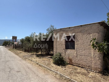 25306-67394650