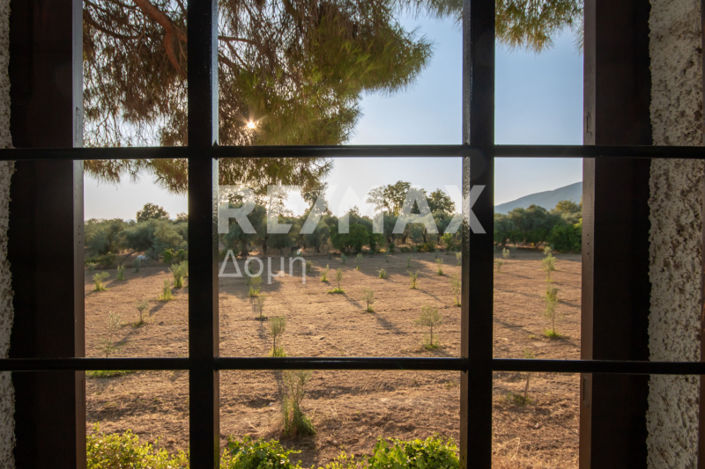 Image No.12-3 Bed House for sale