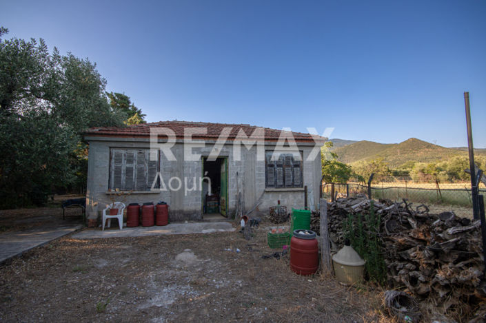 Image No.17-3 Bed House for sale