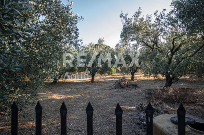 Image No.18-3 Bed House for sale